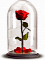 Розы в колбе