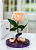 Персиковая роза в колбе 22 см, Peach Mini