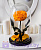 Оранжевая роза в колбе 28 см, Light Orange King