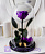 Роза в колбе 28 см, Dark Violet Premium